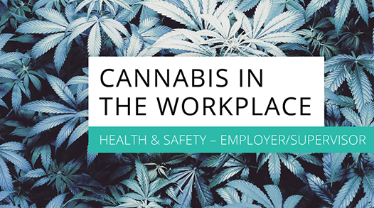 Cannabis in the Workplace Employer Picture