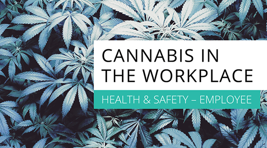 Cannabis in the Workplace picture